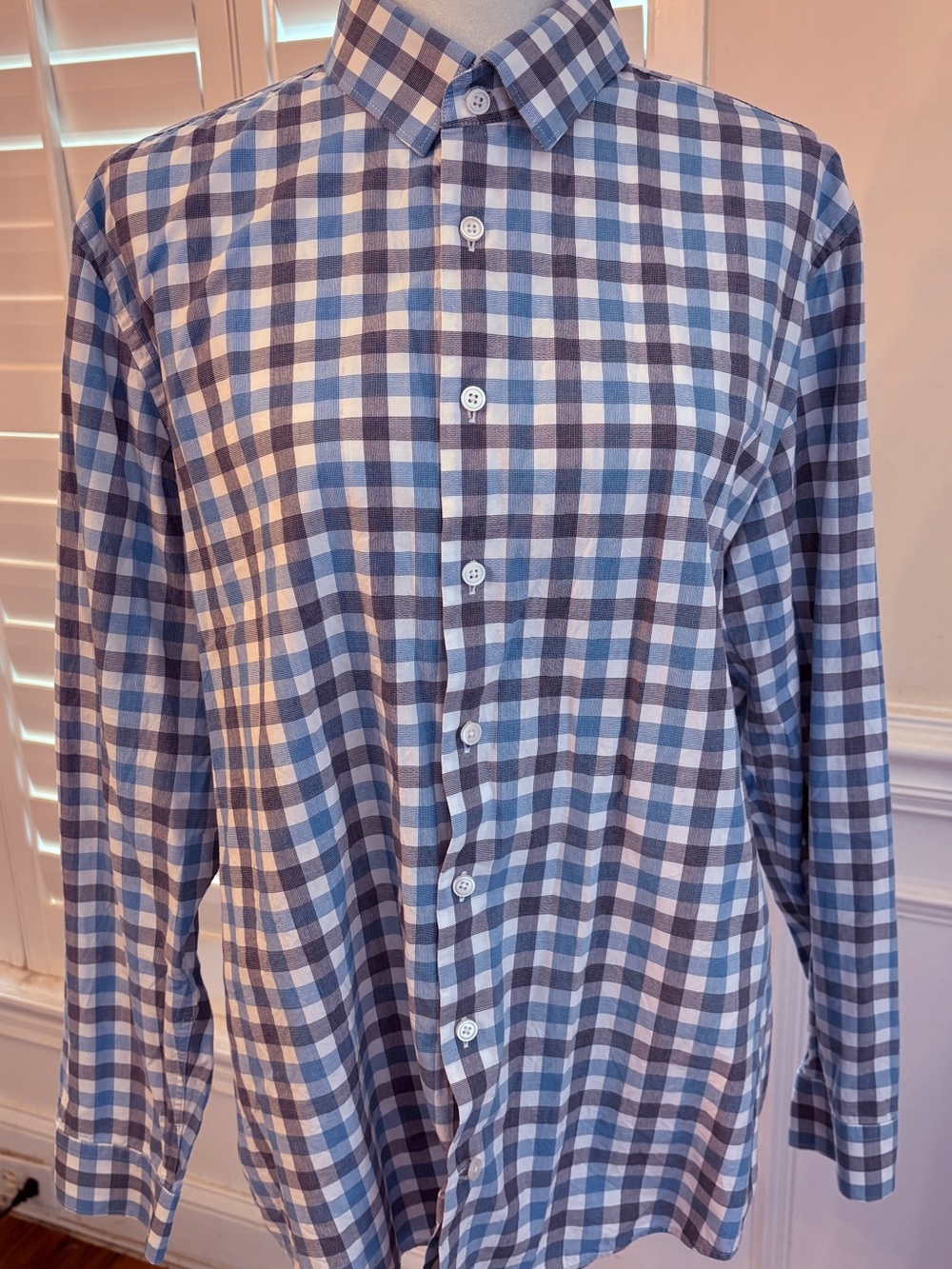 Express Blue and White Check Button-Down Shirt